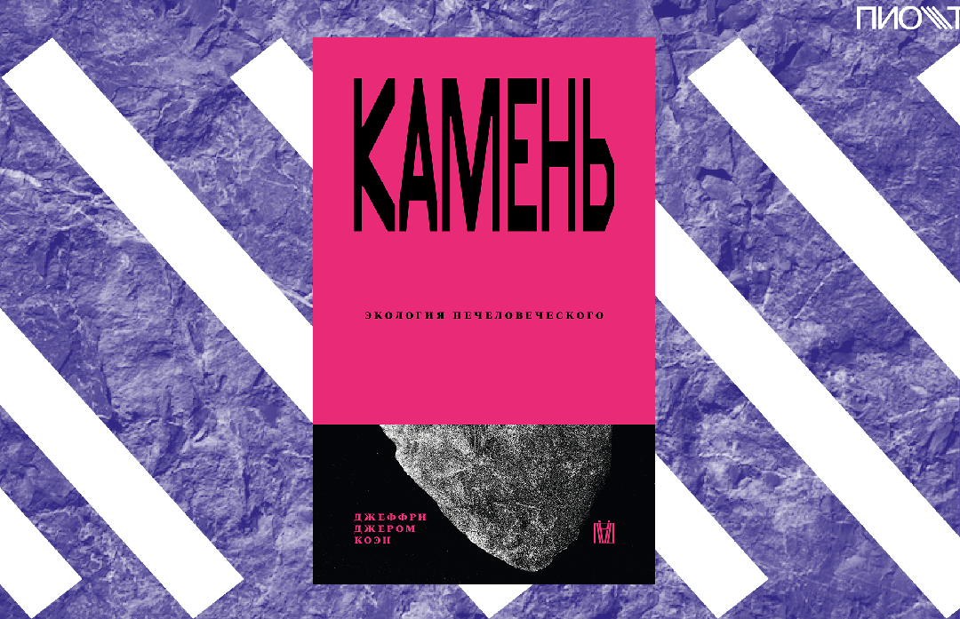 [ПРЕДЗАКАЗ] Камень. Экология нечеловеческого