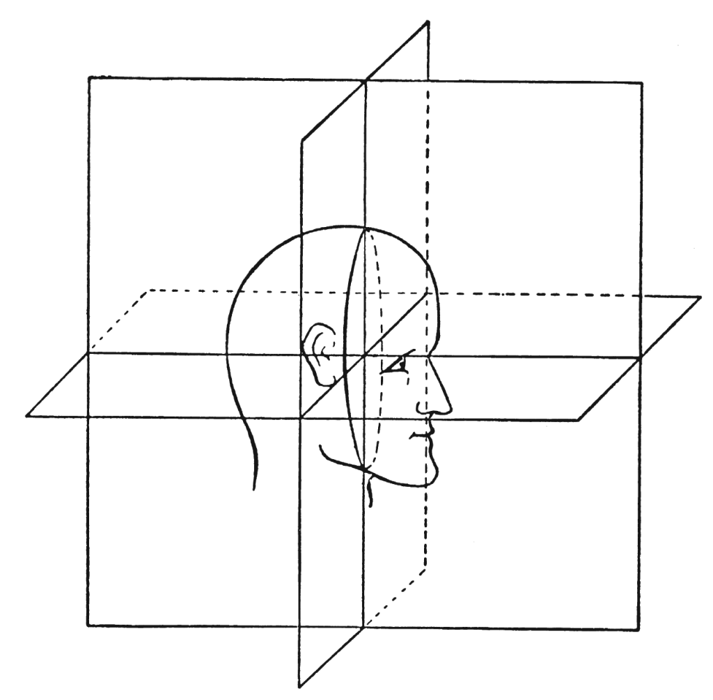 image (15).png