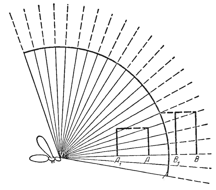 image (13).png