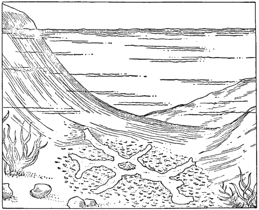 image (14).png