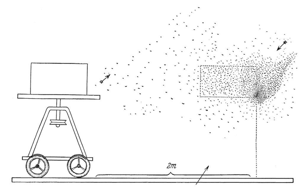 image (18).png