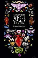 Иллюстрированная жизнь животных