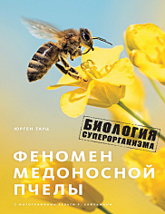 Феномен медоносной пчелы. Биология суперорганизма.