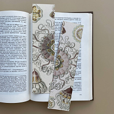 Закладка Kunstformen der Natur №5.Peromedusae