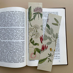 Закладка Termini botanici №3. Травы с красным