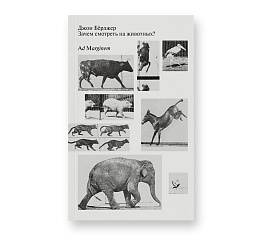 Зачем смотреть на животных?