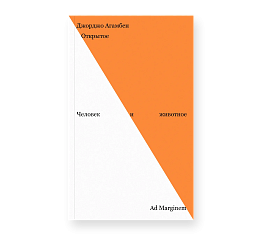 Открытое. Человек и животное