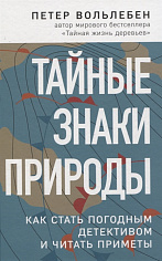 Тайные знаки природы: как стать погодным детективом и читать приметы