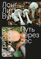 Путь через лес