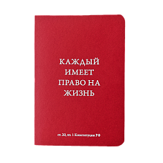 Блокнот А6 «Конституция» – статья 20.1