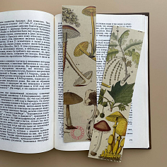 Закладка Termini botanici №2. Грибы