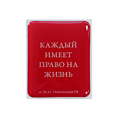 Наклейка «Конституция» – статья 20.1