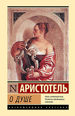 О душе