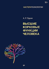 Высшие корковые функции человека