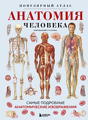 Анатомия человека. Популярный атлас.