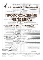 Происхождение человека.