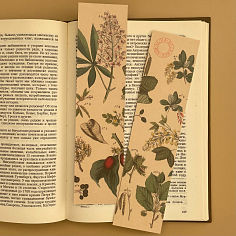 Закладка Pflazenkunde №1. Береза и каштан