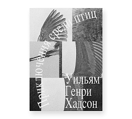 Приключения среди птиц