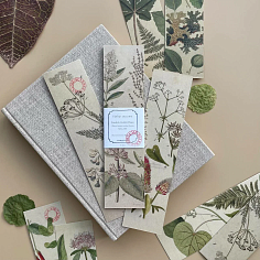 Набор закладок Termini botanici