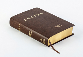 Библия в современном русском переводе. Рециклированная кожа, коричневая