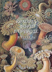 Красота форм в природе
